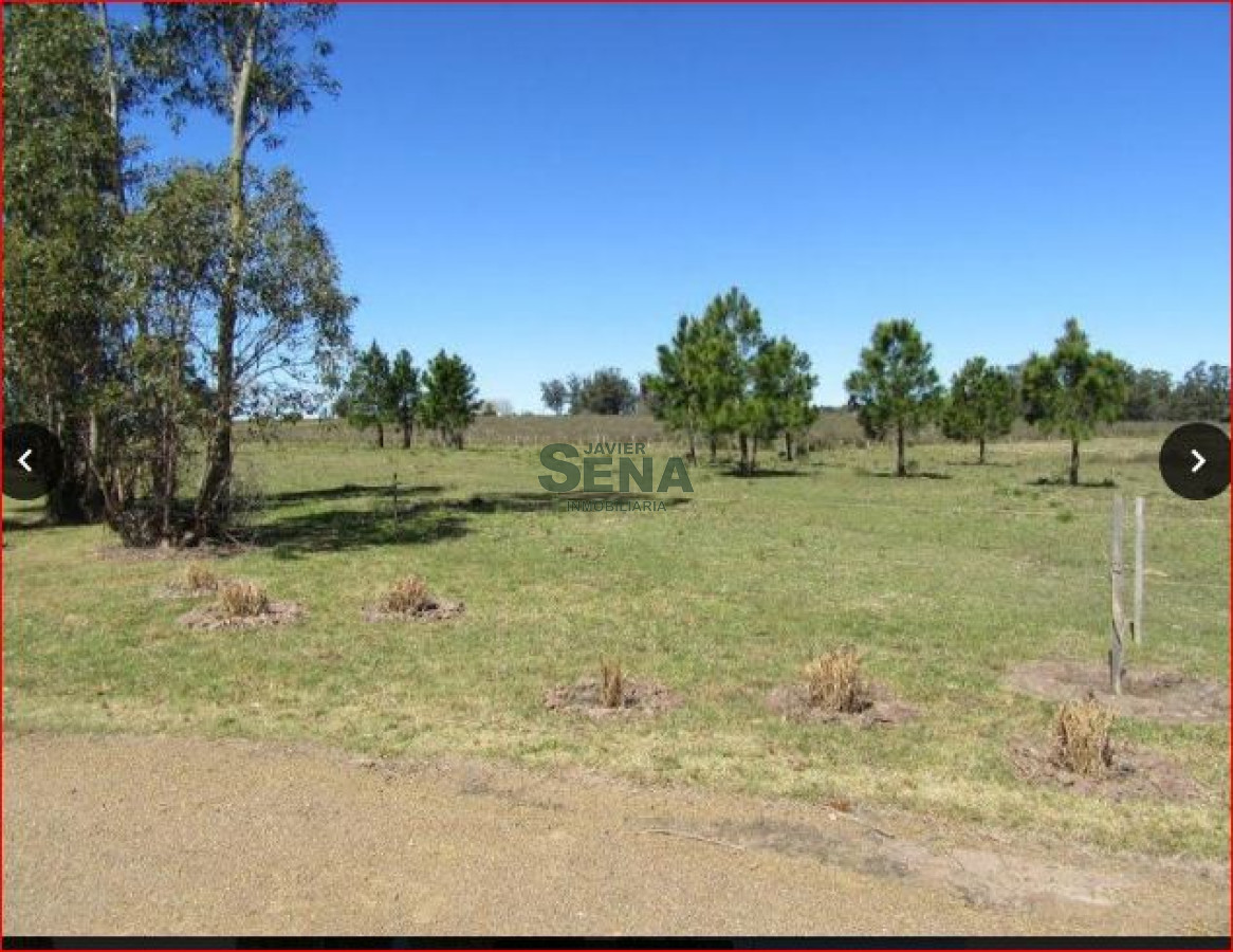 Venta de chacra en Ruta 9 de 70 Hectareas. 2 dormitorios, baño. - GoPunta - Portal Inmobiliario de Punta del Este - Maldonado