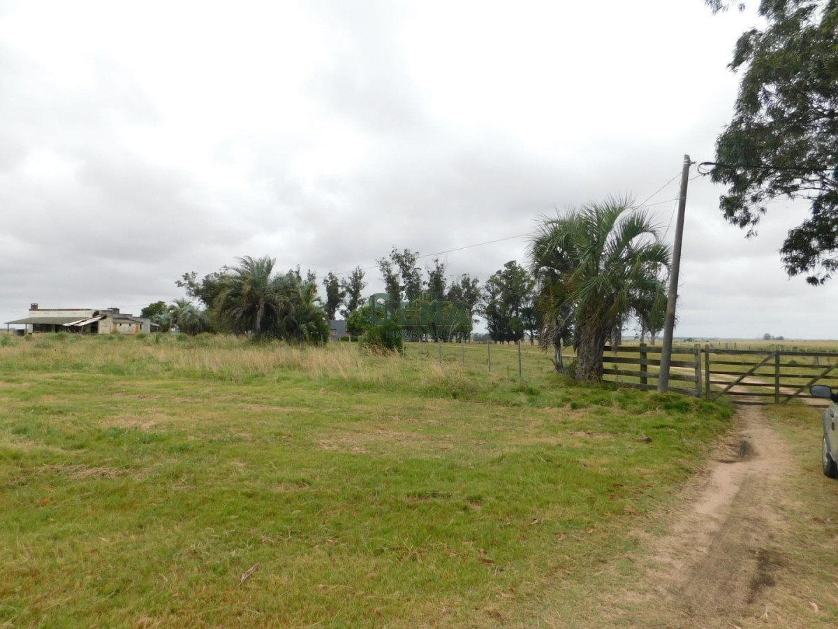 Zona Rural - GoPunta - Portal Inmobiliario de Punta del Este - Maldonado