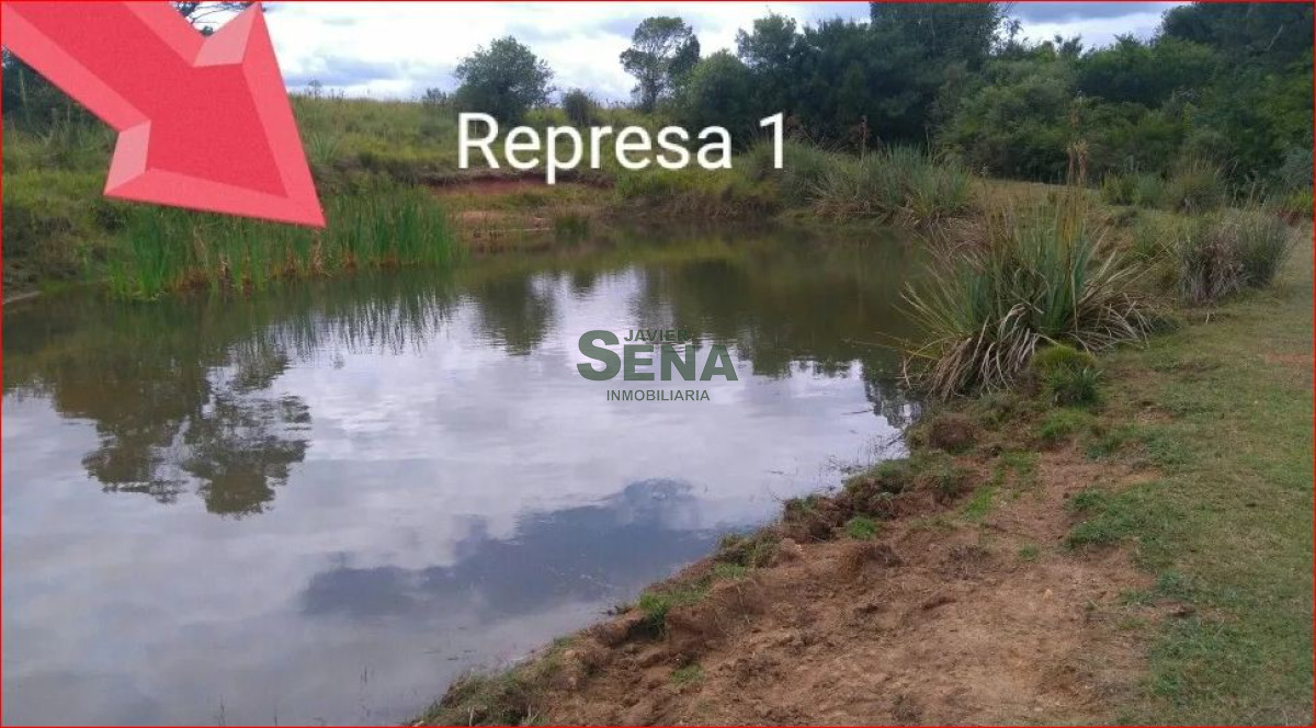Venta de chacra en rocha, 6 hectareas. - GoPunta - Portal Inmobiliario de Punta del Este - Maldonado