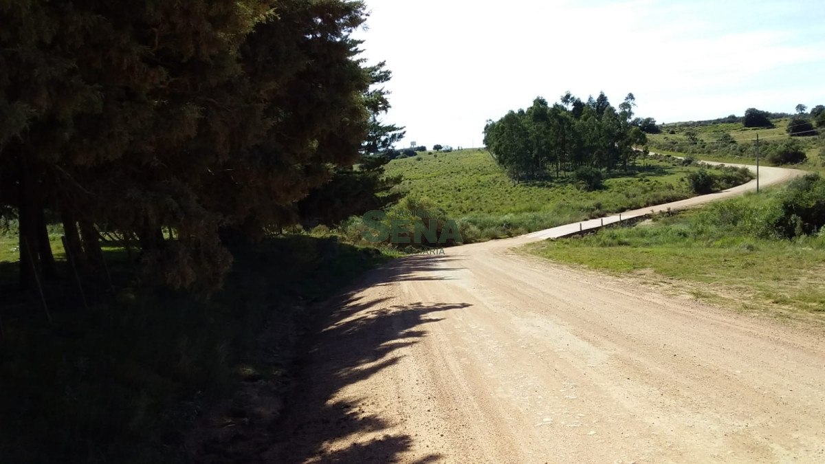 Zona Rural - GoPunta - Portal Inmobiliario de Punta del Este - Maldonado