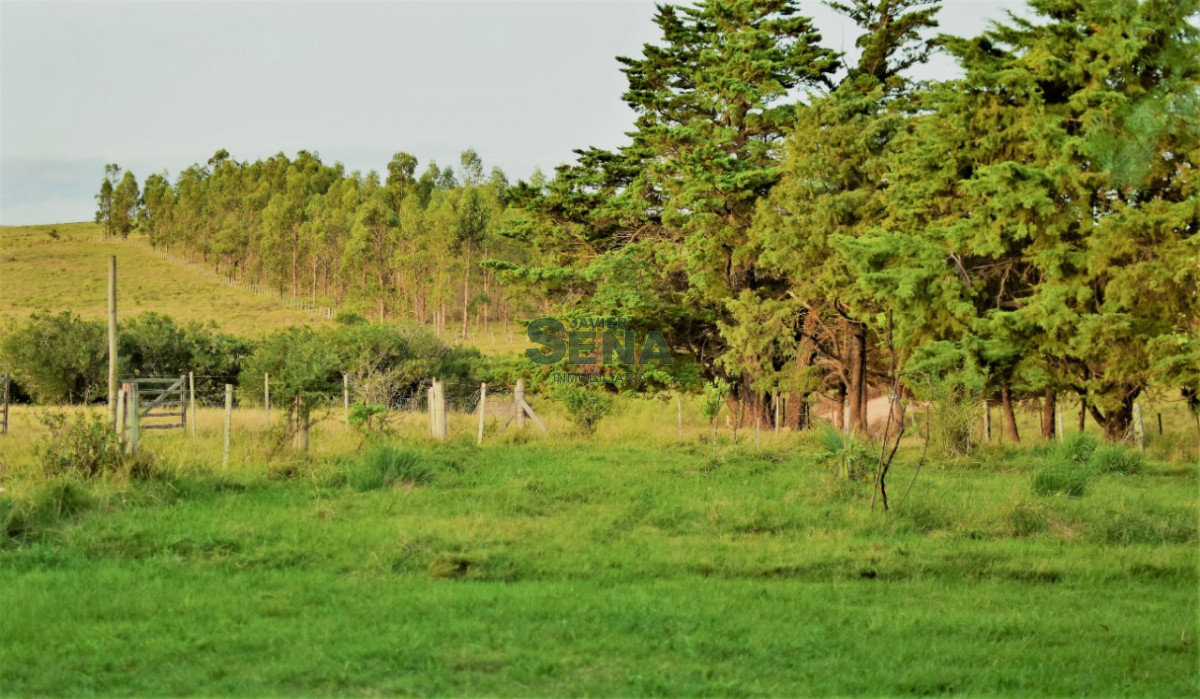 Zona Rural - GoPunta - Portal Inmobiliario de Punta del Este - Maldonado