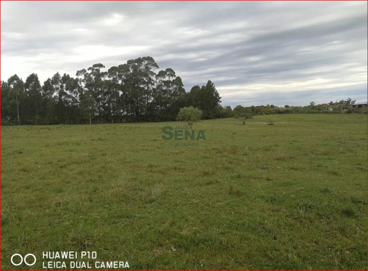Melilla - GoPunta - Portal Inmobiliario de Punta del Este - Maldonado