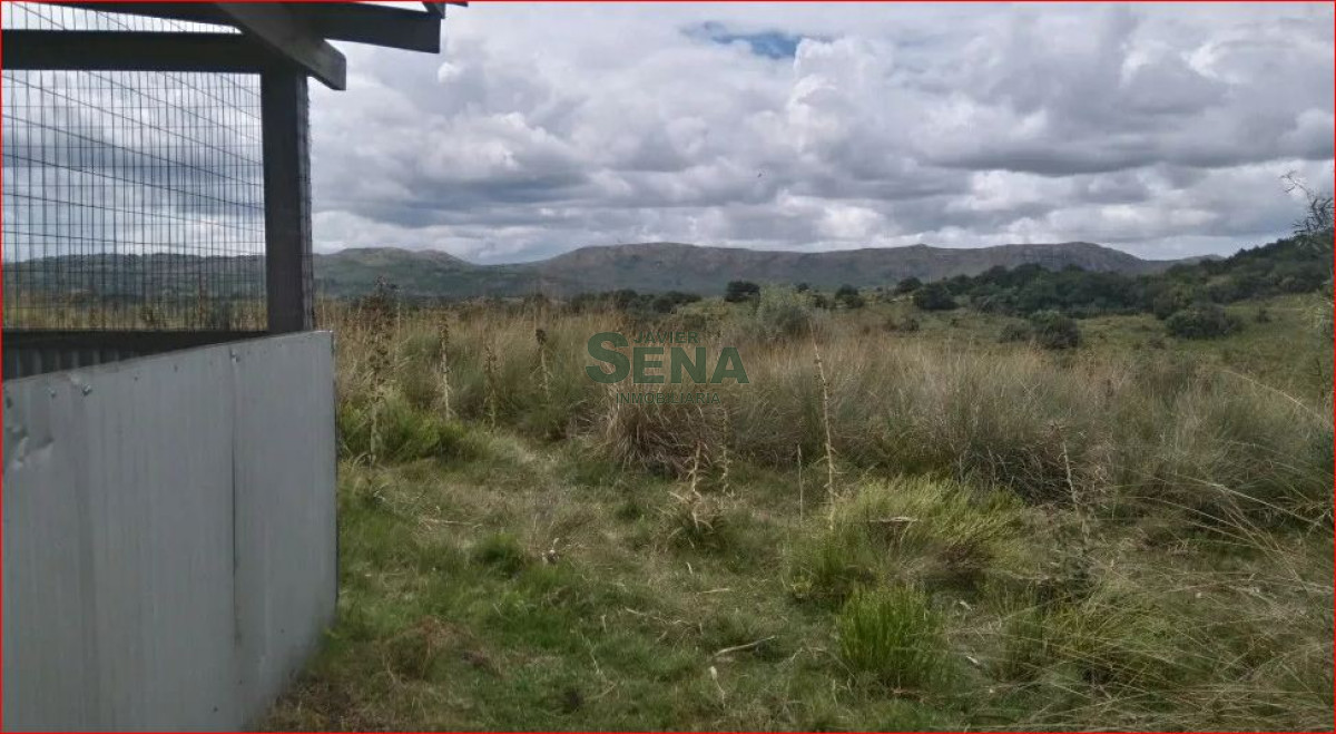 Venta de chacra en rocha, 6 hectareas. - GoPunta - Portal Inmobiliario de Punta del Este - Maldonado