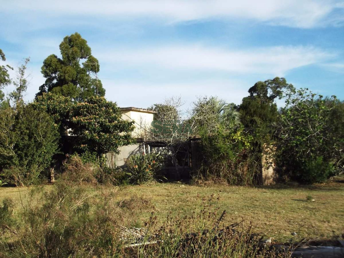 Cerro Eguzquiza, 4 dormitorios, 2 baños. - GoPunta - Portal Inmobiliario de Punta del Este - Maldonado