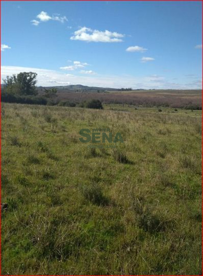 Zona Rural - GoPunta - Portal Inmobiliario de Punta del Este - Maldonado