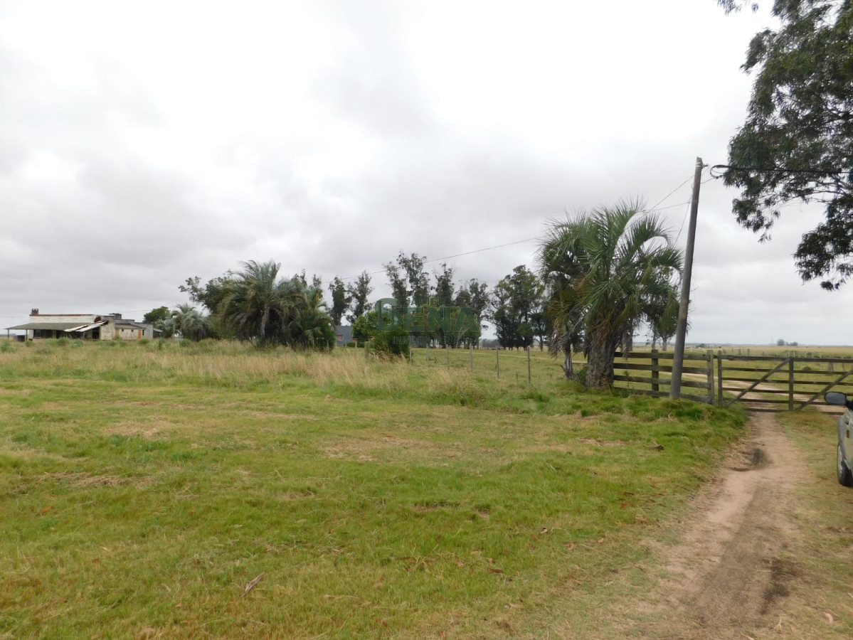 Zona Rural - GoPunta - Portal Inmobiliario de Punta del Este - Maldonado