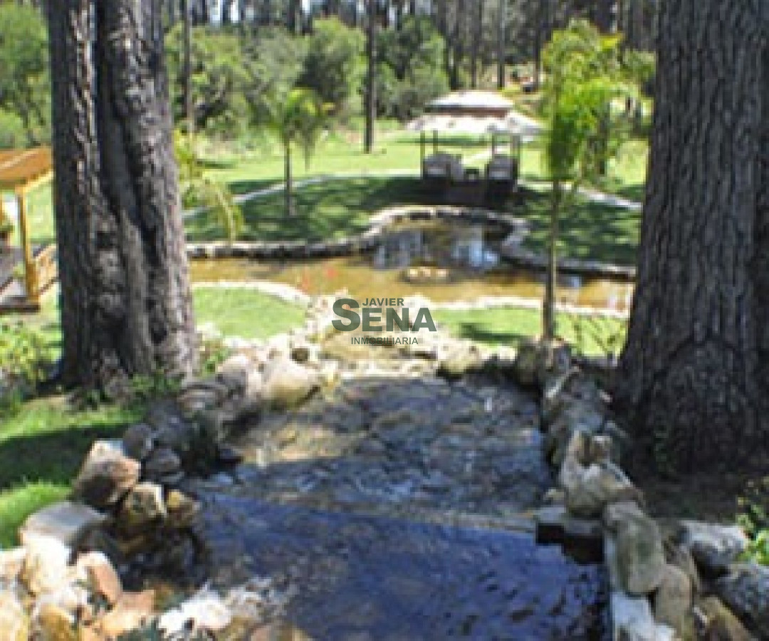 Alquiler de chacra en Mansa, casa espectacular, 4 dormitorios 4 baños, piscina, 1,6 hectareas, de las mejores de la zona. - GoPunta - Portal Inmobiliario de Punta del Este - Maldonado