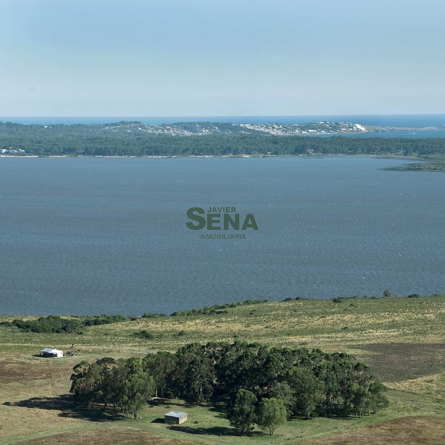 Venta de lote en Laguna del Sauce, divino lugar. - GoPunta - Portal Inmobiliario de Punta del Este - Maldonado