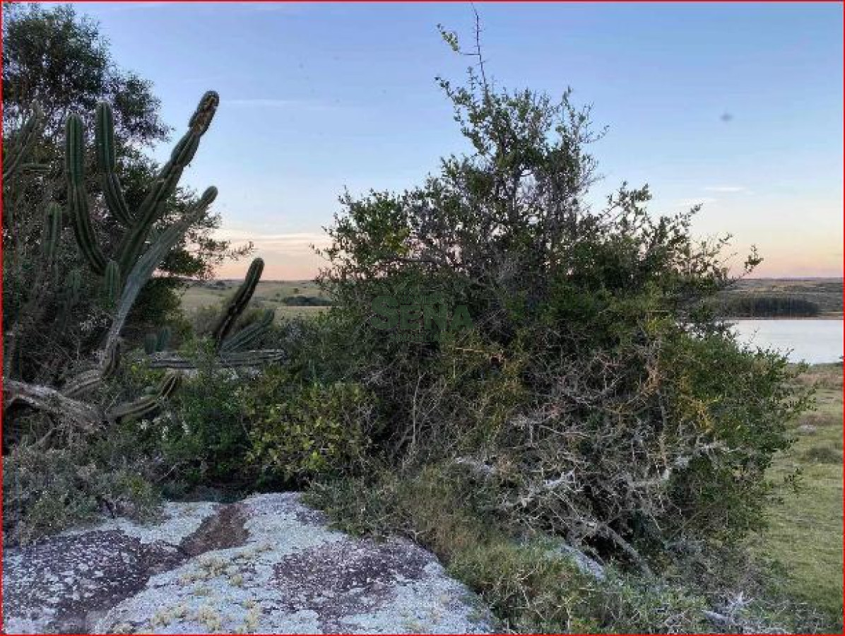 Venta de chacra en Garzon, son 8 hectareas con buenas vista y agua. - GoPunta - Portal Inmobiliario de Punta del Este - Maldonado