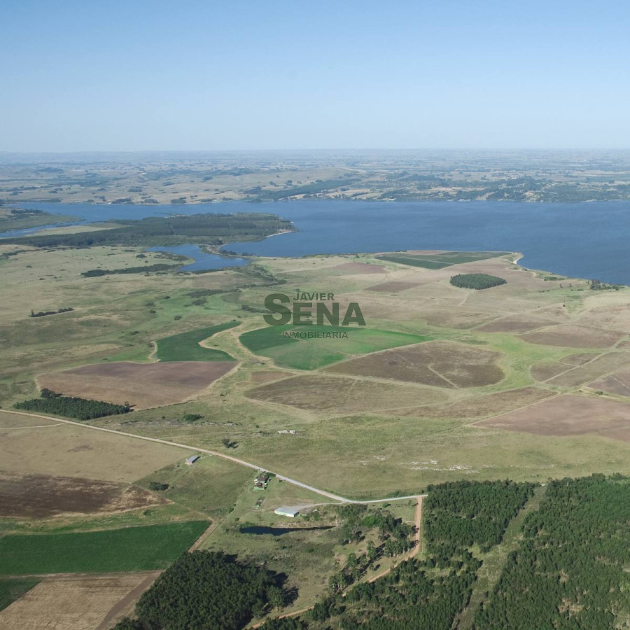 Venta de lote en Laguna del Sauce, divino lugar. - GoPunta - Portal Inmobiliario de Punta del Este - Maldonado