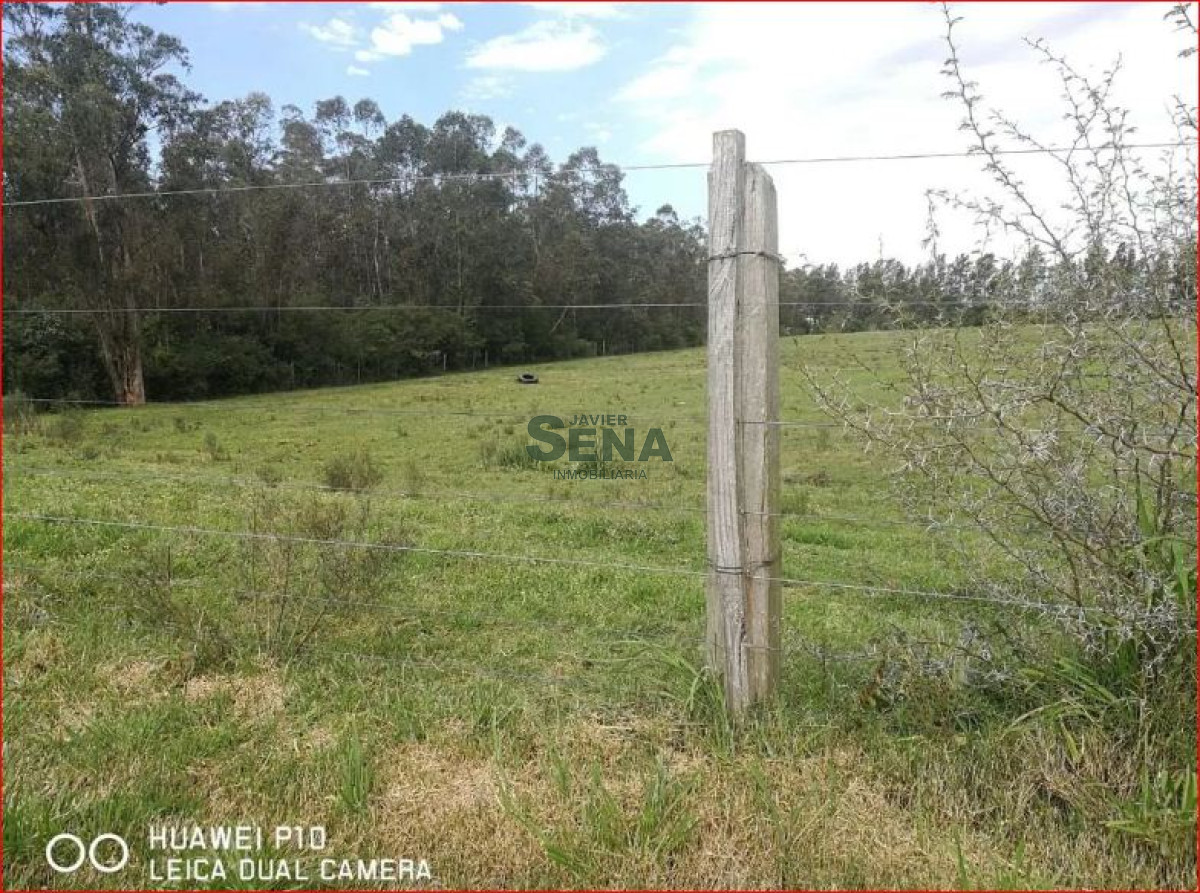 Melilla - GoPunta - Portal Inmobiliario de Punta del Este - Maldonado