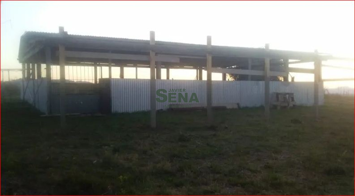 Venta de chacra en rocha, 6 hectareas. - GoPunta - Portal Inmobiliario de Punta del Este - Maldonado