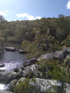 Venta de chacra en la Barra, 16 hectareas con arroyo y buen acceso.