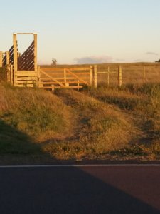 Venta de cxhacra en Ruta 39, a 7 kilometros de San Carlos. 