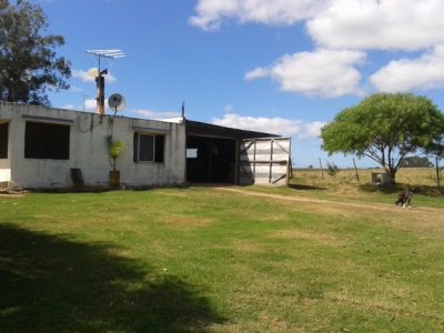 Venta de chacra en Maldonado a 5 kilometros, 5 hectareas, con buena casa