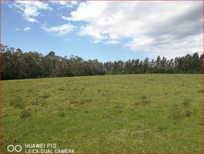 Venta de chacra en Montevideo, 3,5 Hectareas en melilla