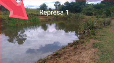 Venta de chacra en rocha, 6 hectareas.