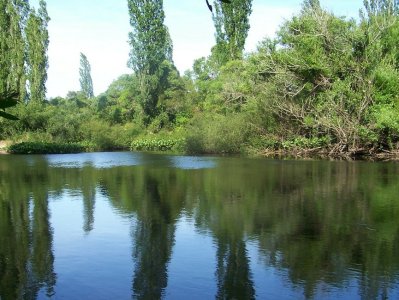 Venta de chacra en San Carlos, 5 Hectareas, con arroyo, arbolados, sobre ruta, para fraccionar.