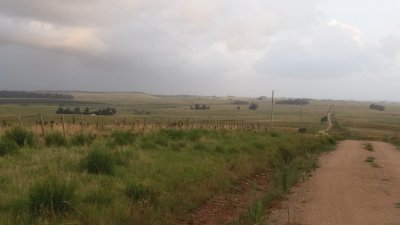 Paraje Jose Ignacio cerca de San Carlos, 23 Hectareas. 