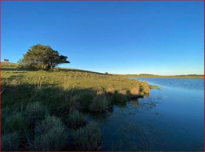 Venta de chacra en Garzon, son 8 hectareas con buenas vista y agua. 