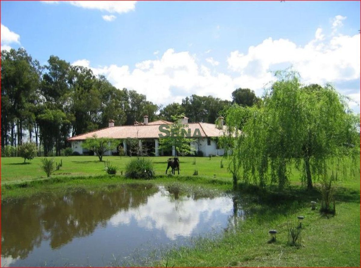 Propiedad - GoPunta - Portal Inmobiliario de Punta del Este - Maldonado