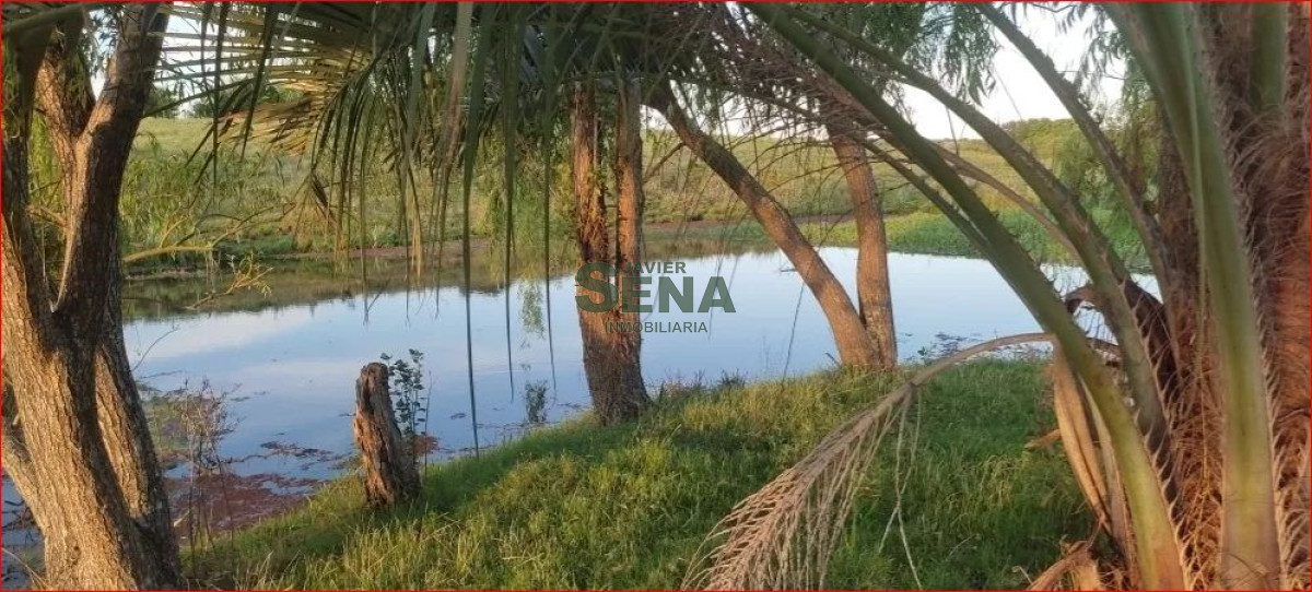 Venta de campo en Garzon, 30 hectareas con arroyo y casa para reciclar. - GoPunta - Portal Inmobiliario de Punta del Este - Maldonado