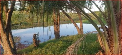 Venta de campo en Garzon, 30 hectareas con arroyo y casa para reciclar.