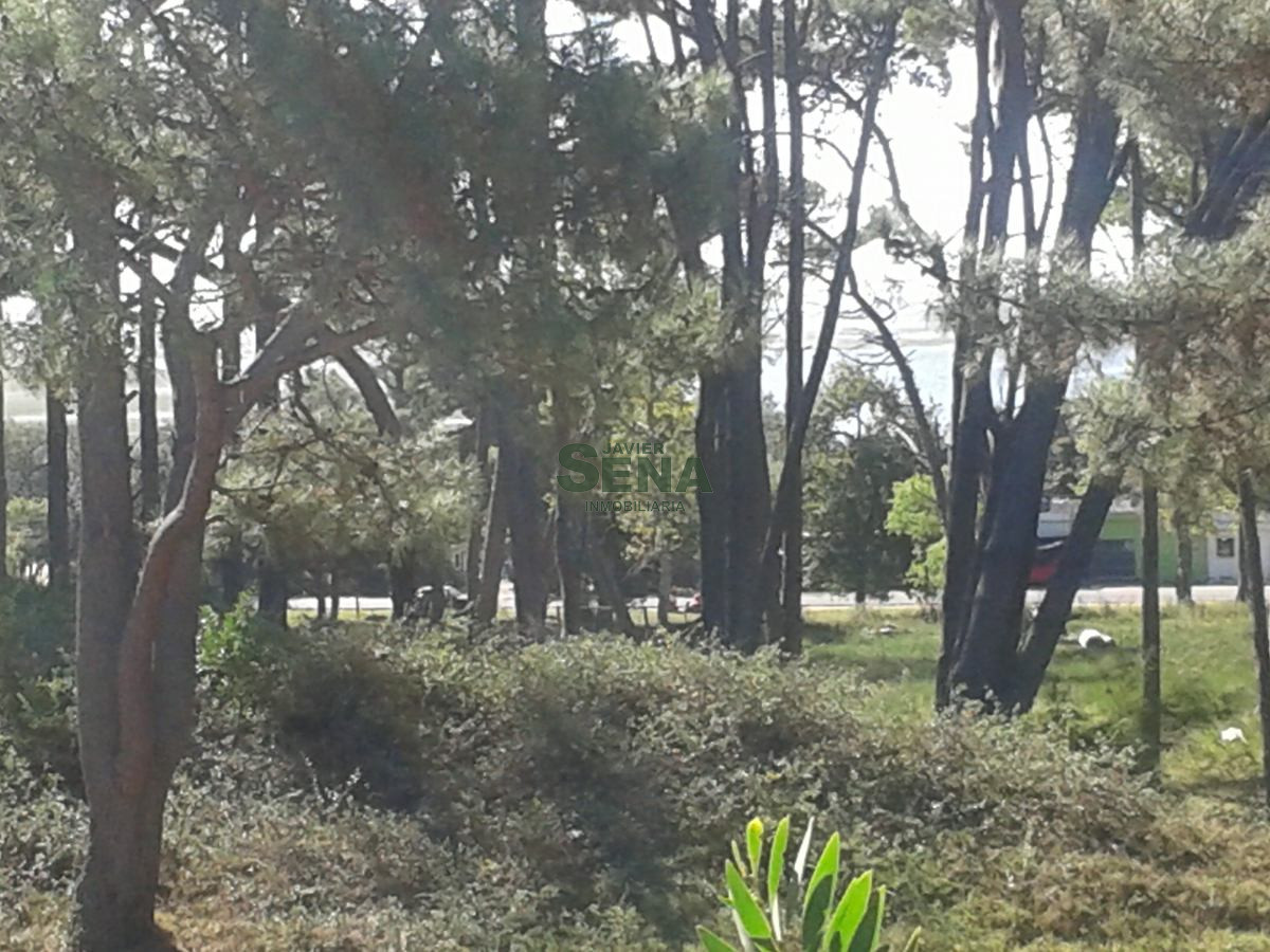 Rincón del Indio - GoPunta - Portal Inmobiliario de Punta del Este - Maldonado