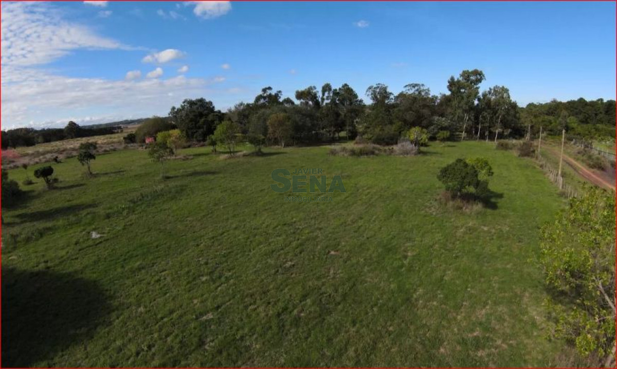 Piedras del Chileno - GoPunta - Portal Inmobiliario de Punta del Este - Maldonado