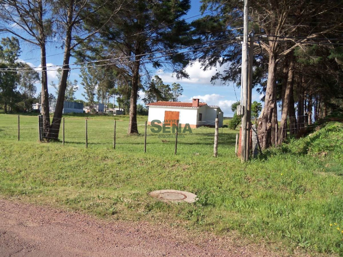 Los Aromos - GoPunta - Portal Inmobiliario de Punta del Este - Maldonado