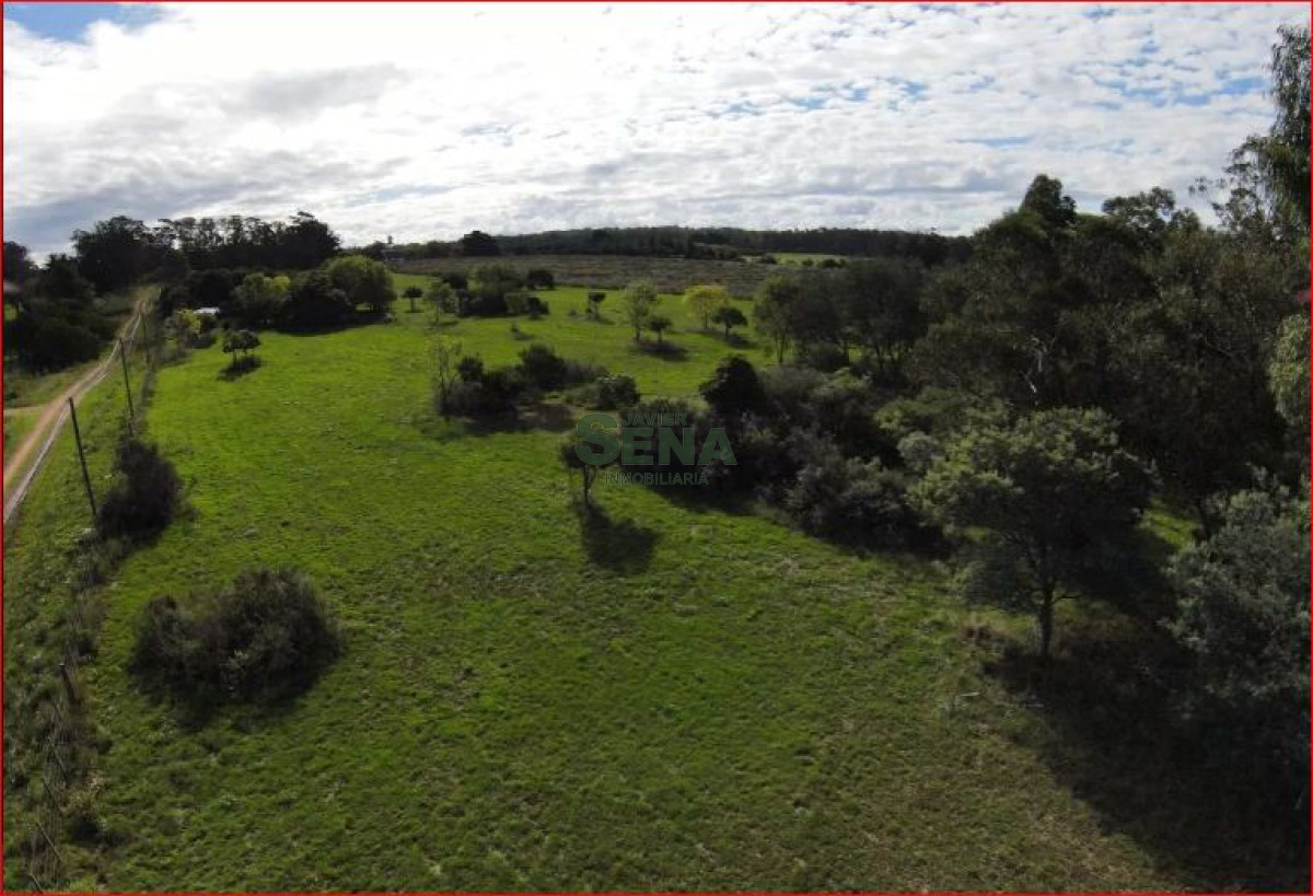 Piedras del Chileno - GoPunta - Portal Inmobiliario de Punta del Este - Maldonado