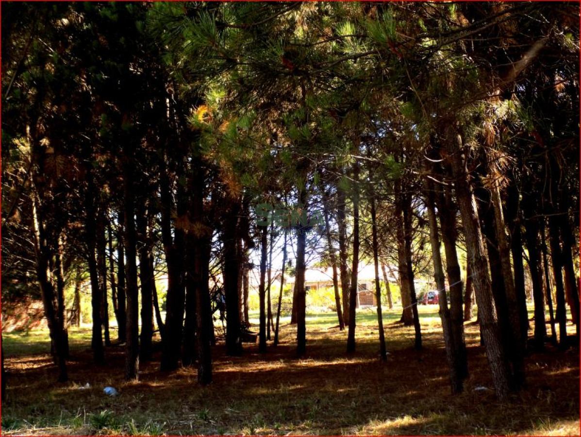 Pinares - GoPunta - Portal Inmobiliario de Punta del Este - Maldonado