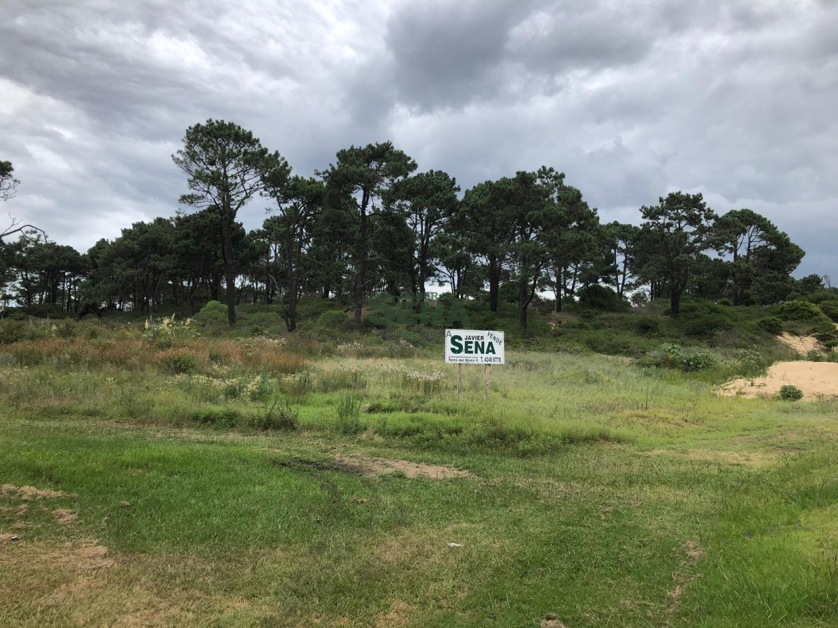 Rincón del Indio - GoPunta - Portal Inmobiliario de Punta del Este - Maldonado