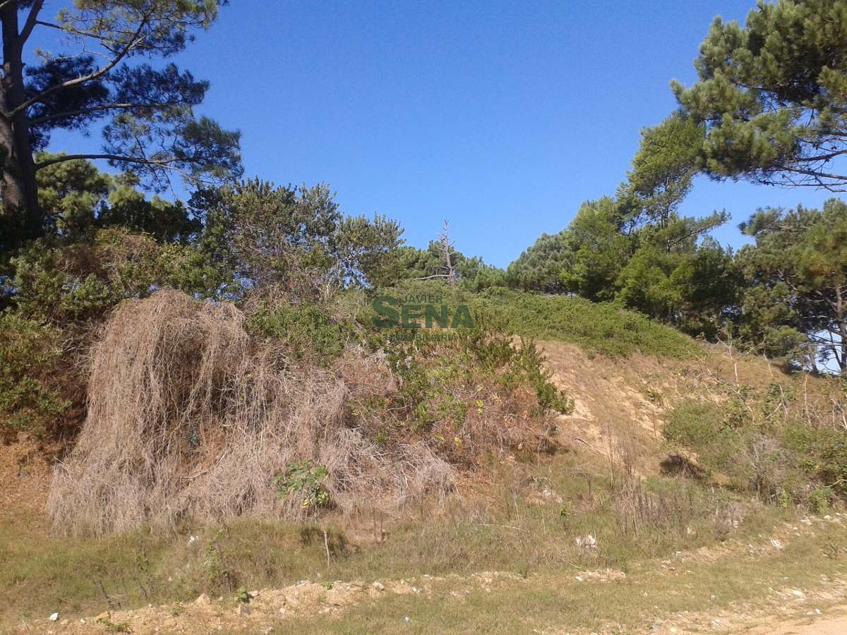 Rincón del Indio - GoPunta - Portal Inmobiliario de Punta del Este - Maldonado
