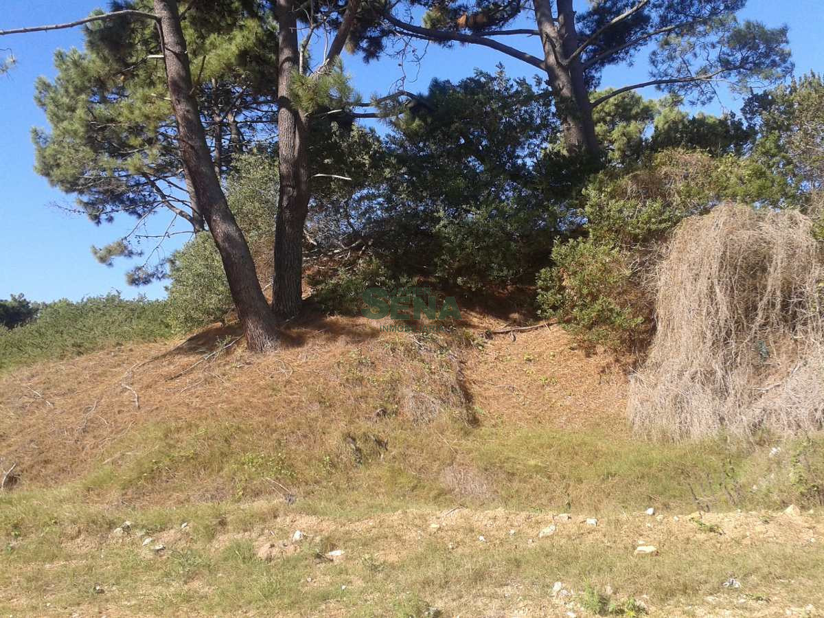 Rincón del Indio - GoPunta - Portal Inmobiliario de Punta del Este - Maldonado