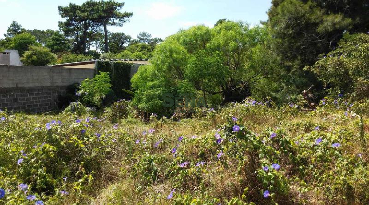 Las Delicias - GoPunta - Portal Inmobiliario de Punta del Este - Maldonado