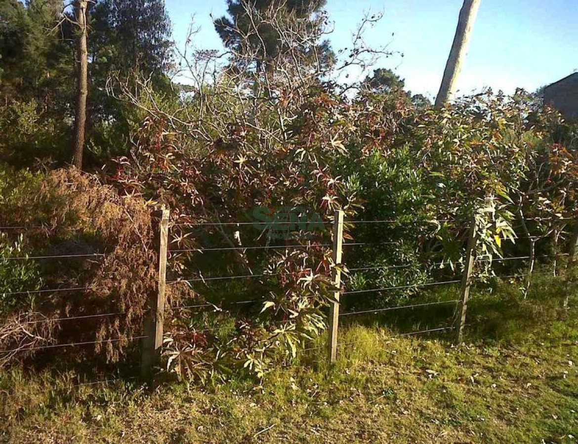 Pinares - GoPunta - Portal Inmobiliario de Punta del Este - Maldonado