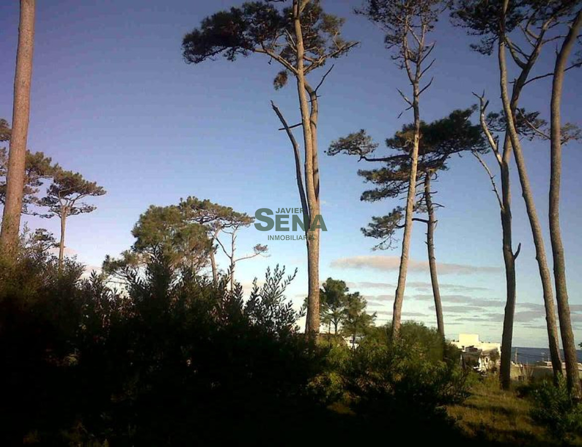 Pinares - GoPunta - Portal Inmobiliario de Punta del Este - Maldonado
