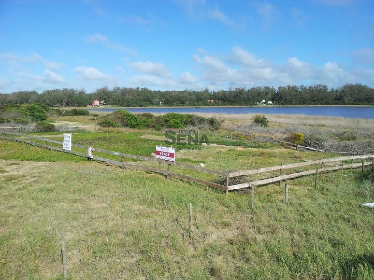 Santa Monica - GoPunta - Portal Inmobiliario de Punta del Este - Maldonado