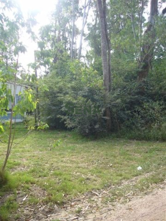 Balneario Buenos Aires - GoPunta - Portal Inmobiliario de Punta del Este - Maldonado