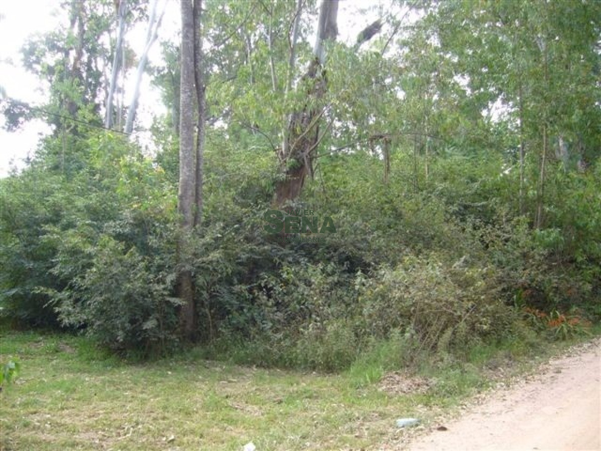 Balneario Buenos Aires - GoPunta - Portal Inmobiliario de Punta del Este - Maldonado