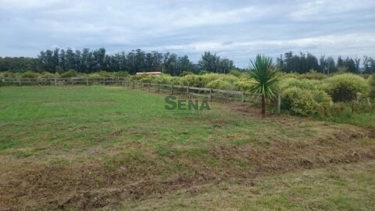 La Barra - GoPunta - Portal Inmobiliario de Punta del Este - Maldonado