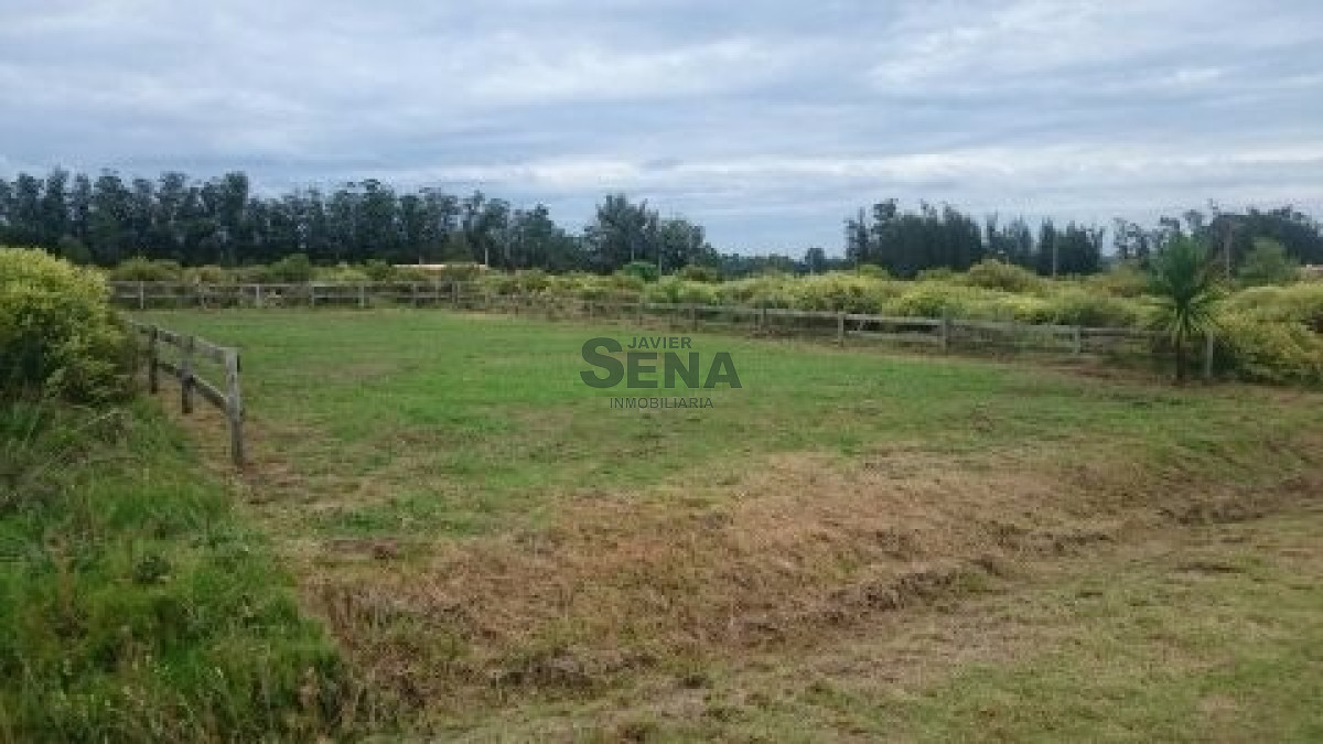 La Barra - GoPunta - Portal Inmobiliario de Punta del Este - Maldonado