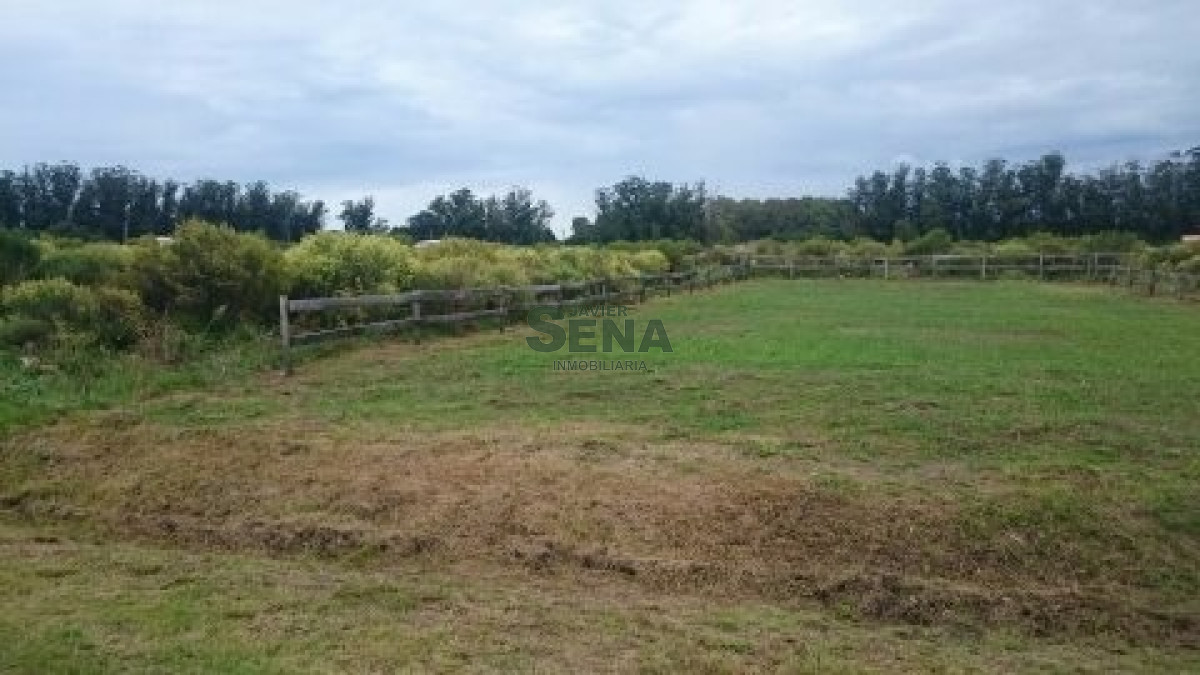 La Barra - GoPunta - Portal Inmobiliario de Punta del Este - Maldonado