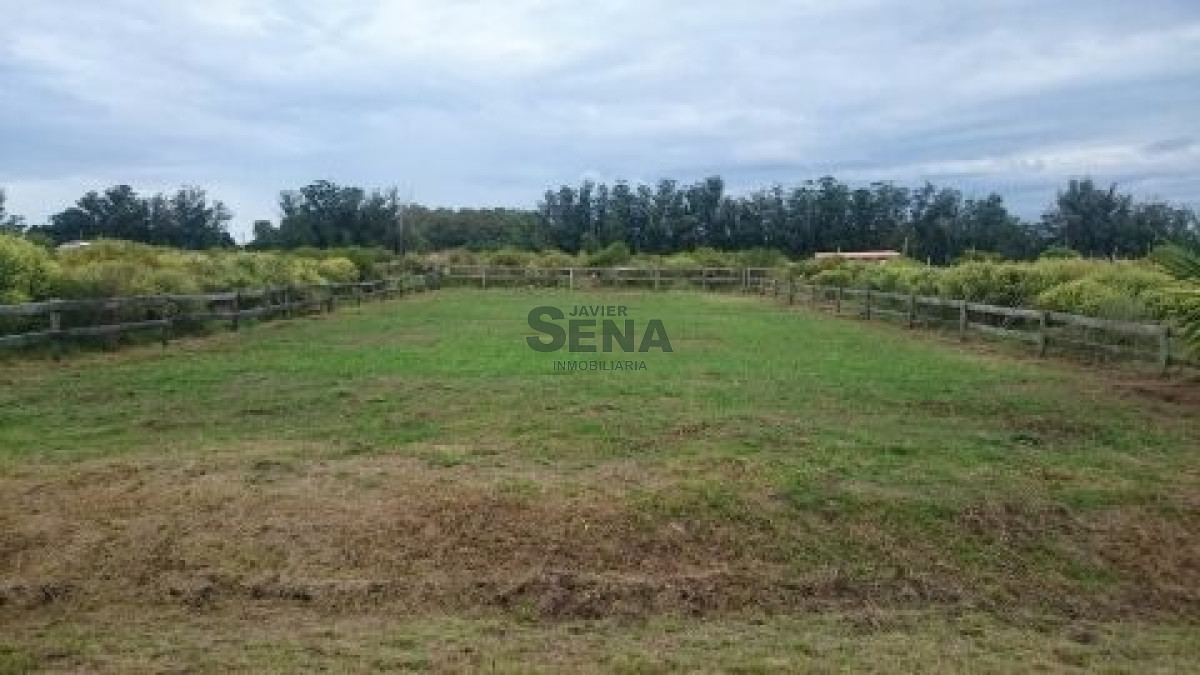 La Barra - GoPunta - Portal Inmobiliario de Punta del Este - Maldonado