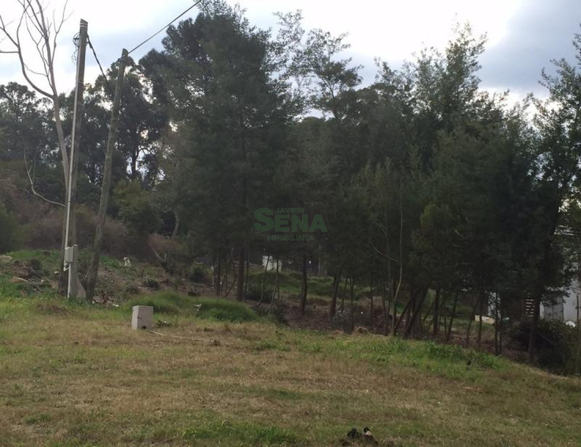 Punta Ballena - GoPunta - Portal Inmobiliario de Punta del Este - Maldonado