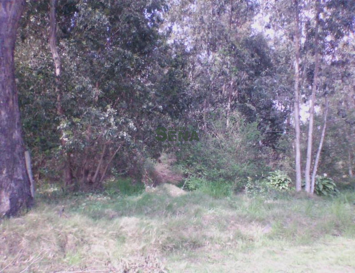 La Barra - GoPunta - Portal Inmobiliario de Punta del Este - Maldonado