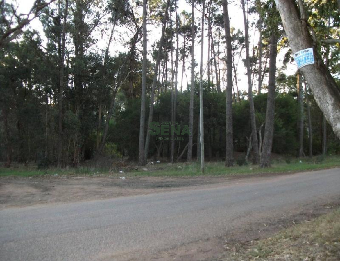 Punta Ballena - GoPunta - Portal Inmobiliario de Punta del Este - Maldonado