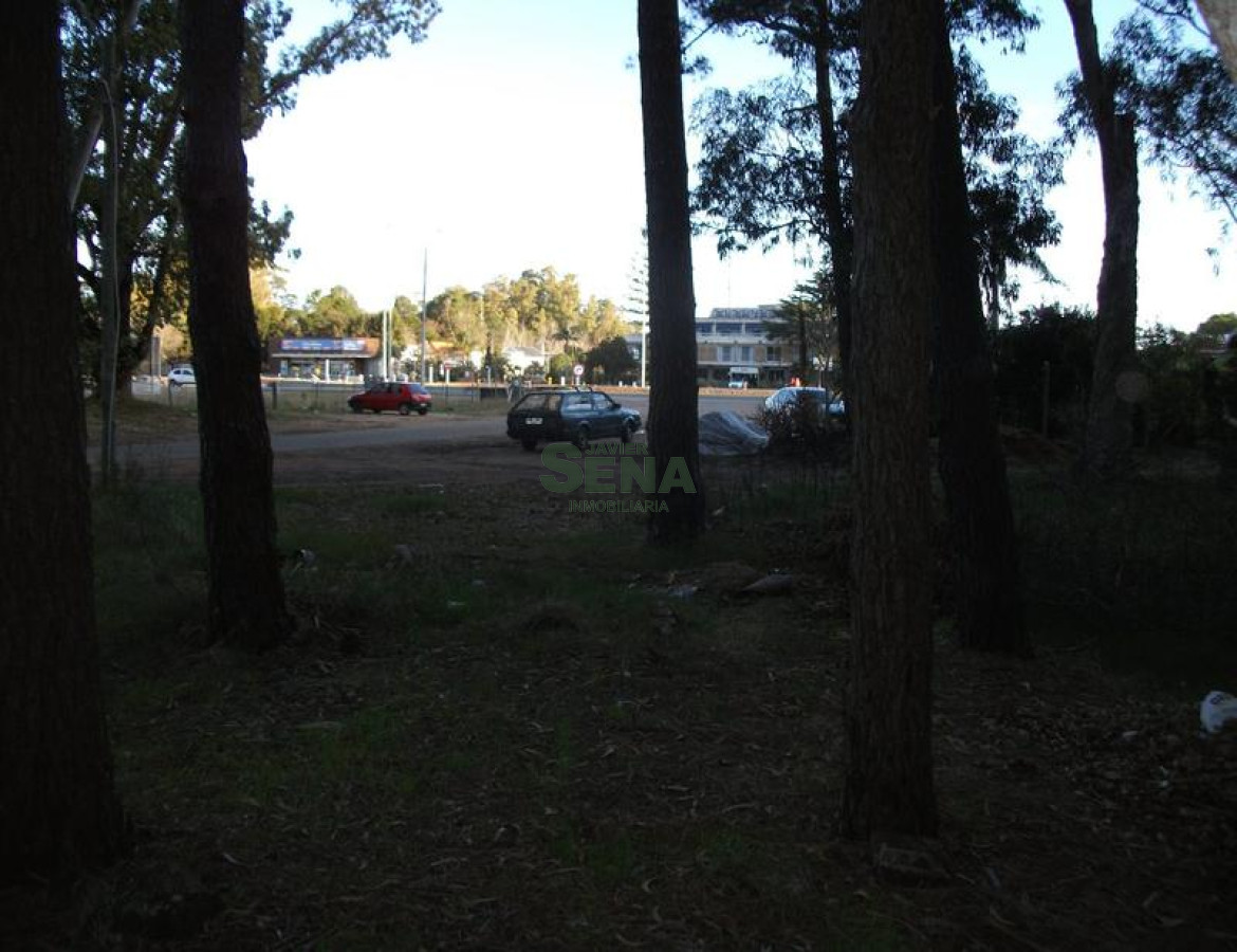 Punta Ballena - GoPunta - Portal Inmobiliario de Punta del Este - Maldonado