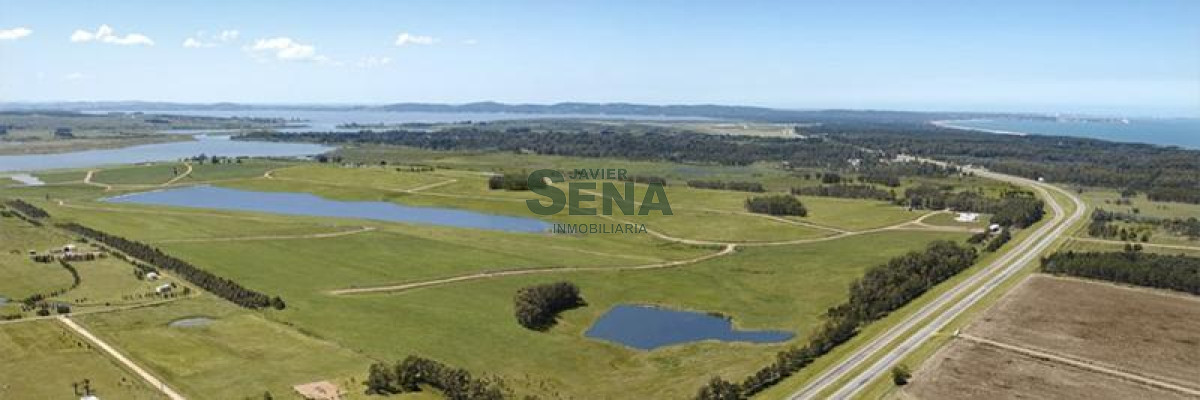 Laguna del Sauce - GoPunta - Portal Inmobiliario de Punta del Este - Maldonado